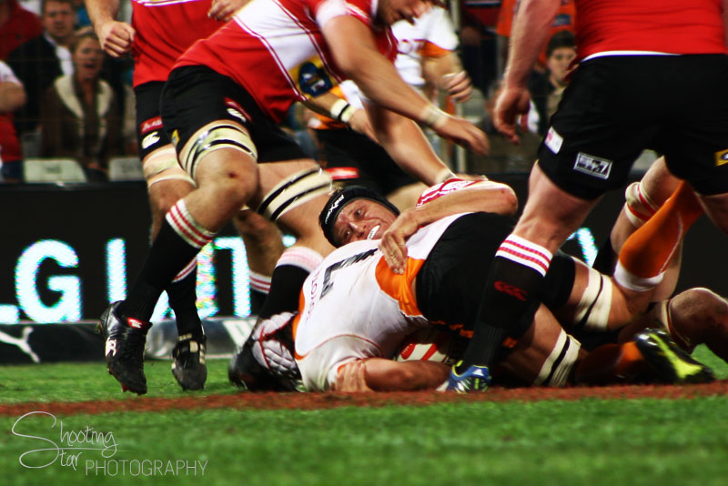 Cheetahs vs Lions