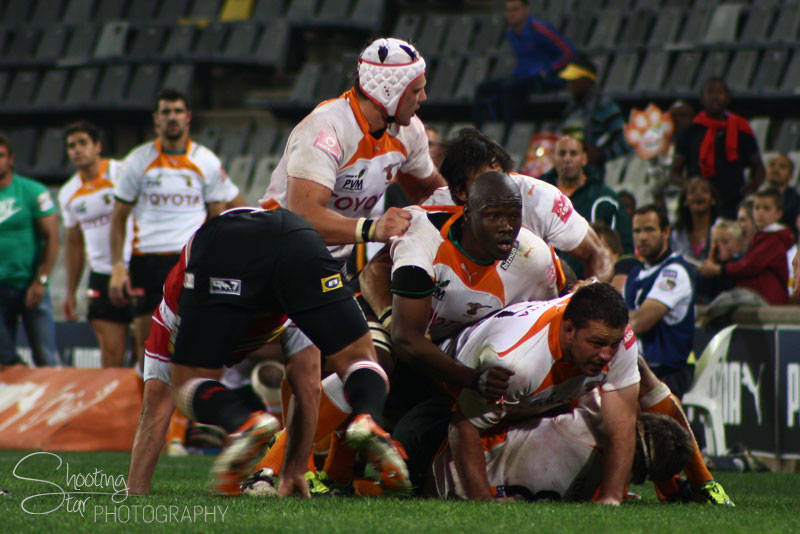 Cheetahs vs Lions