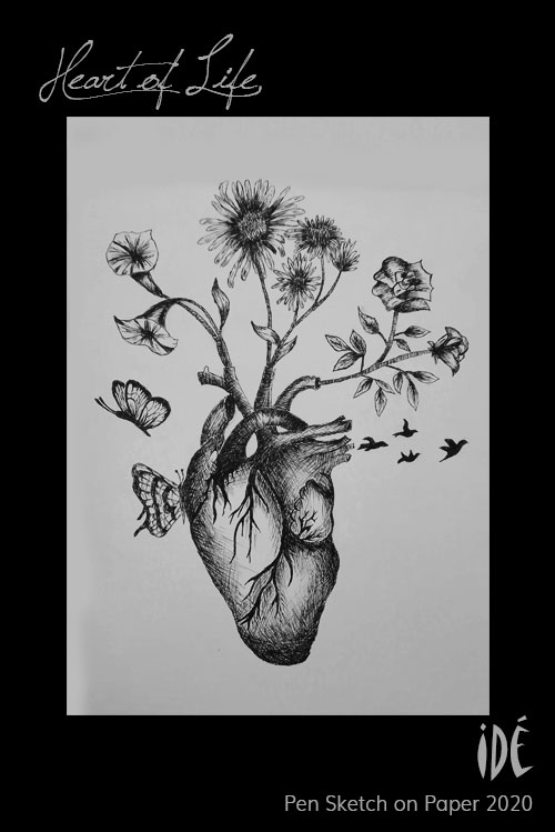 Pen Sketch of heart with flowers