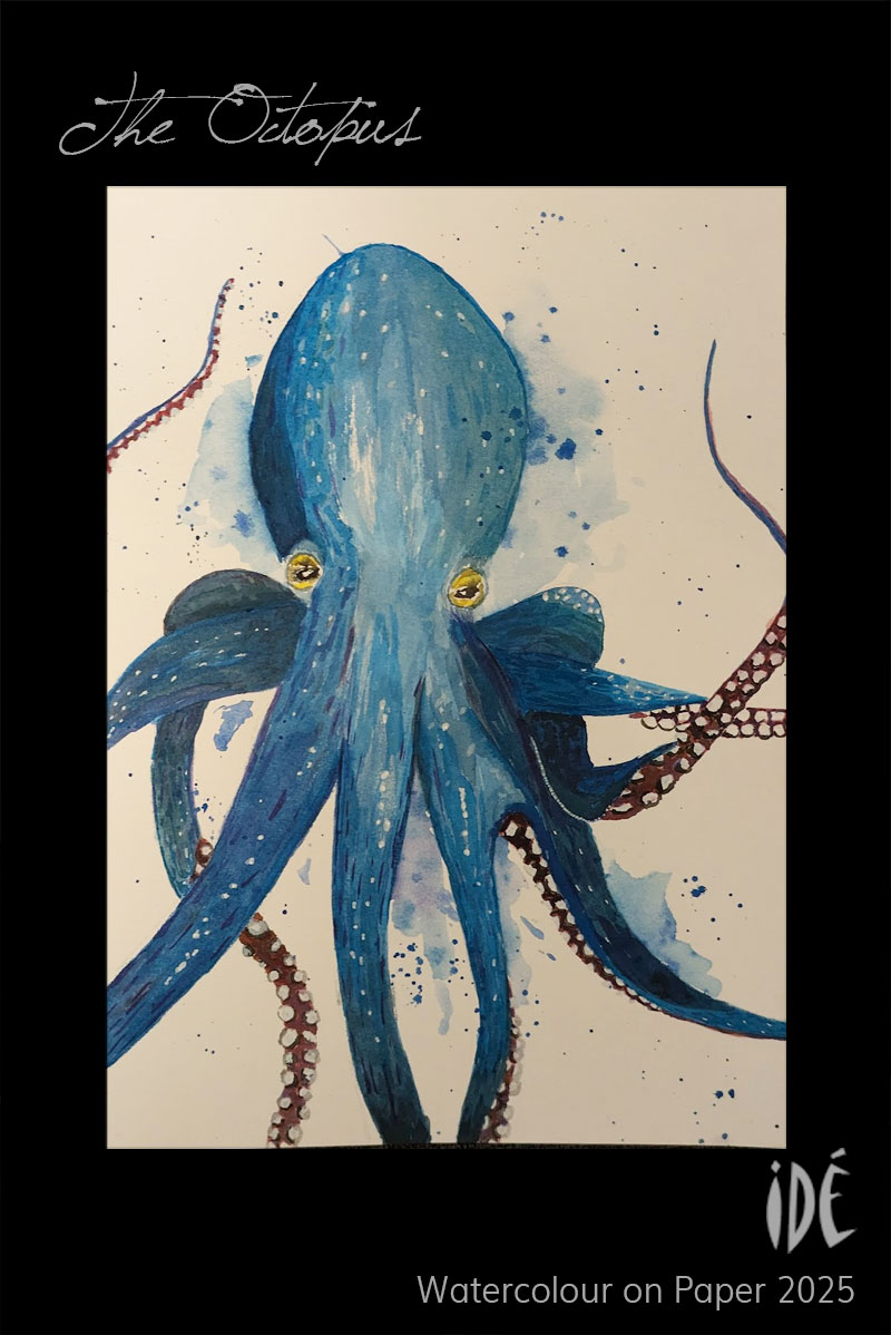 Watercolour Painting of an Octopus